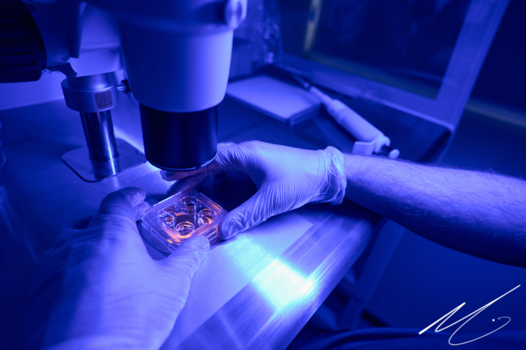 The Future of STEM and Why DEI Must Be at the Centre of it